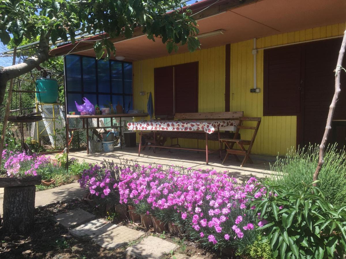 Бунгало- Bungalow Kawarna Zewnętrze zdjęcie